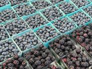 Berries
