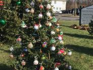 Festival of Trees