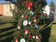Haymarket Baptist Tree