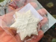 Snow Queen Cookies