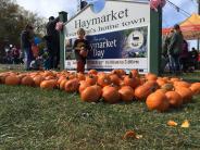Pumpkin SIgn