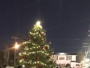 Tree Lighting