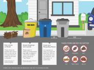 Yard Waste Guide