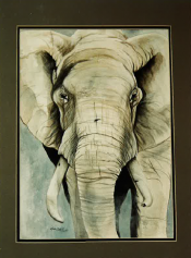 Lynn Cook Elephant