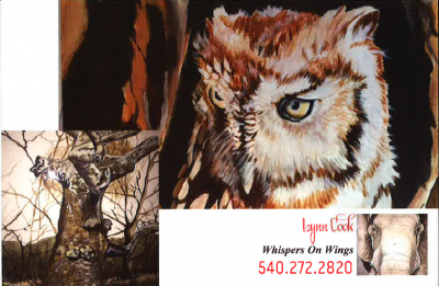 Lynn Cook Postcard